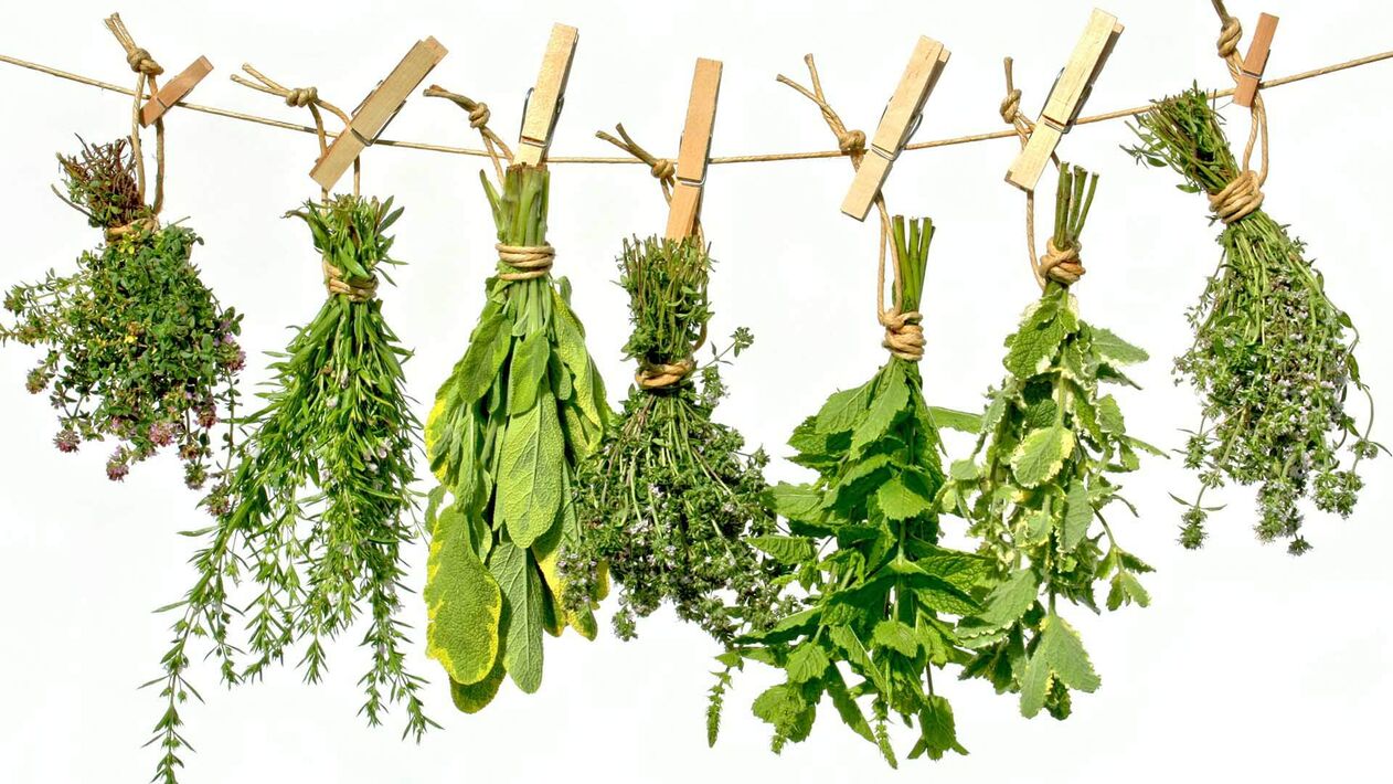 Herbs that promote penis enlargement