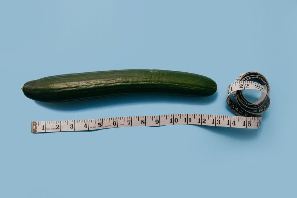 Measurement of the size of the penis using the example of a cucumber